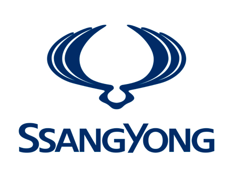 Box de fibra para Ssangyong